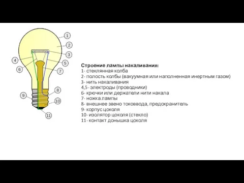 Строение лампы накаливания: 1- стеклянная колба 2- полость колбы (вакуумная или наполненная