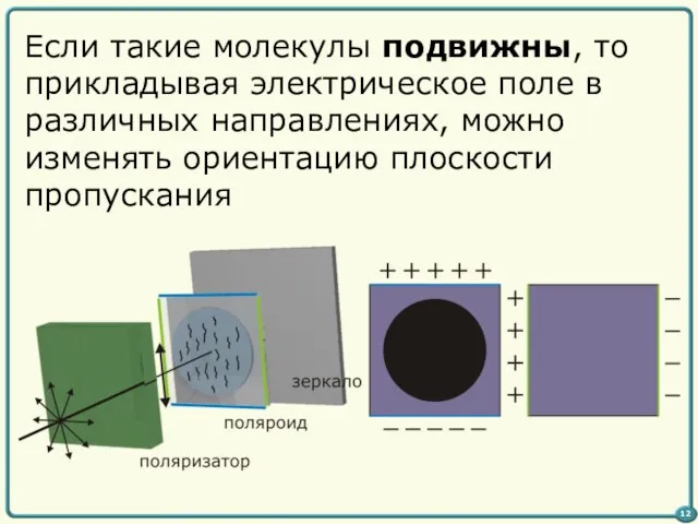 Если такие молекулы подвижны, то прикладывая электрическое поле в различных направлениях, можно