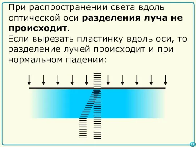 При распространении света вдоль оптической оси разделения луча не происходит. Если вырезать