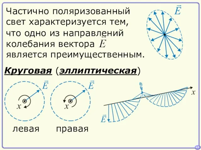 05 Частично поляризованный свет характеризуется тем, Круговая (эллиптическая) левая правая