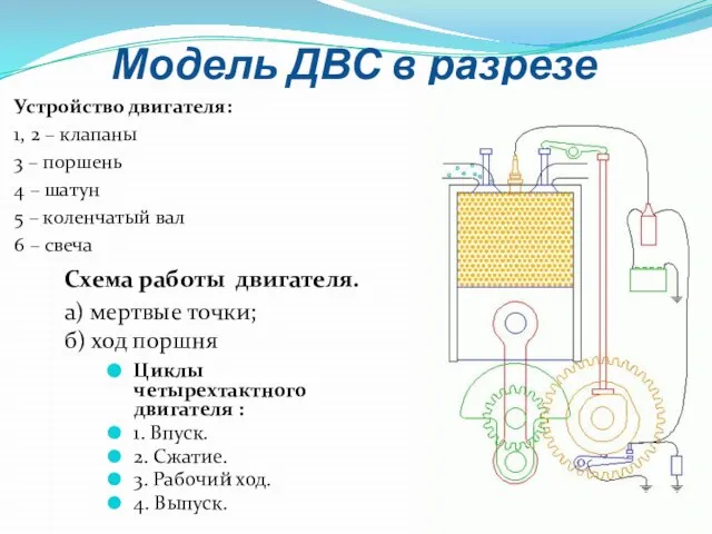 Модель ДВС в разрезе Устройство двигателя: 1, 2 – клапаны 3 –