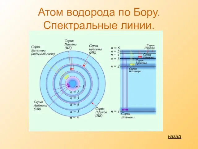 Атом водорода по Бору. Спектральные линии. назад