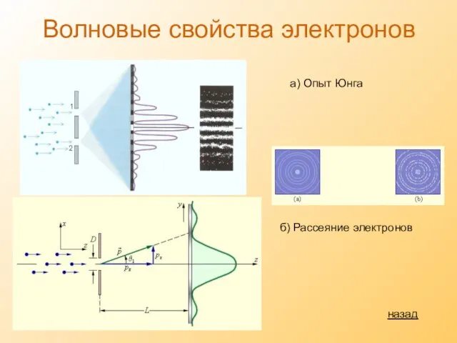 Волновые свойства электронов б) Рассеяние электронов а) Опыт Юнга назад