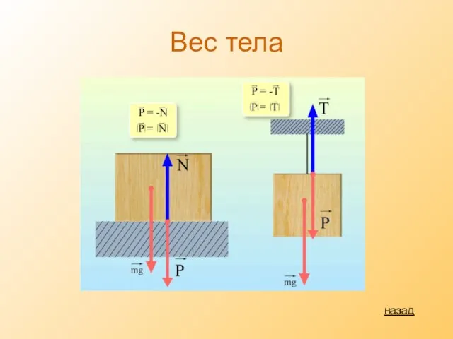 Вес тела назад