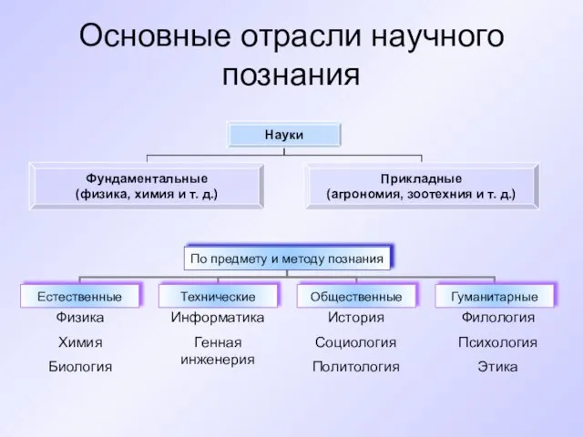 Основные отрасли научного познания Физика Химия Биология Информатика Генная инженерия История Социология Политология Филология Психология Этика