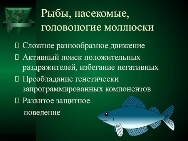 Рыбы, насекомые, головоногие моллюски Сложное разнообразное движение Активный поиск положительных раздражителей, избегание