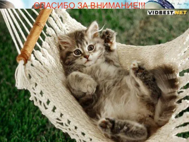 СПАСИБО ЗА ВНИМАНИЕ!!!