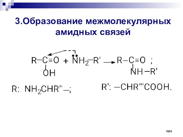 3.Образование межмолекулярных амидных связей