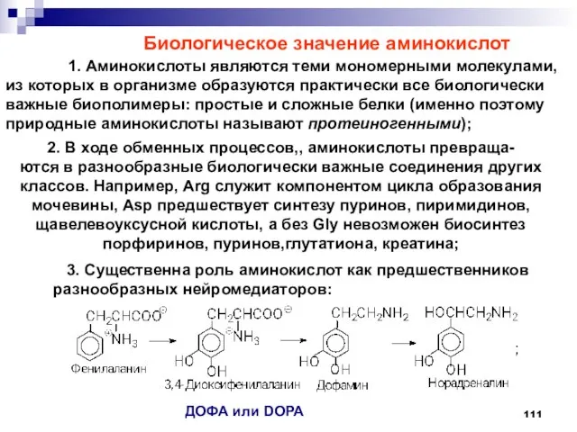 Биологическое значение аминокислот 1. Аминокислоты являются теми мономерными молекулами, из которых в