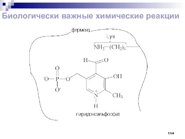 Биологически важные химические реакции