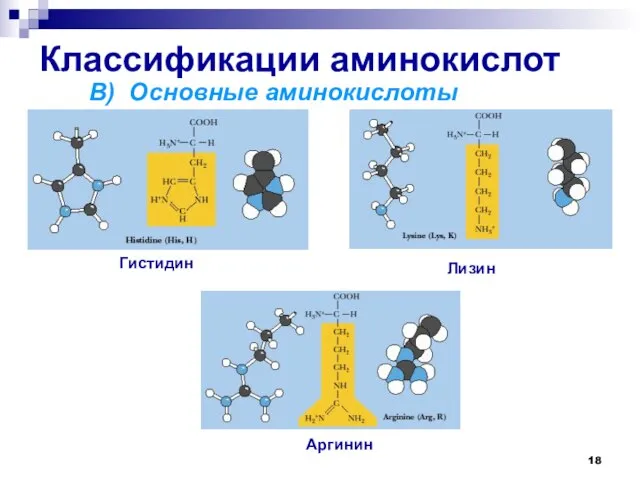 Классификации аминокислот В) Основные аминокислоты Лизин Аргинин Гистидин