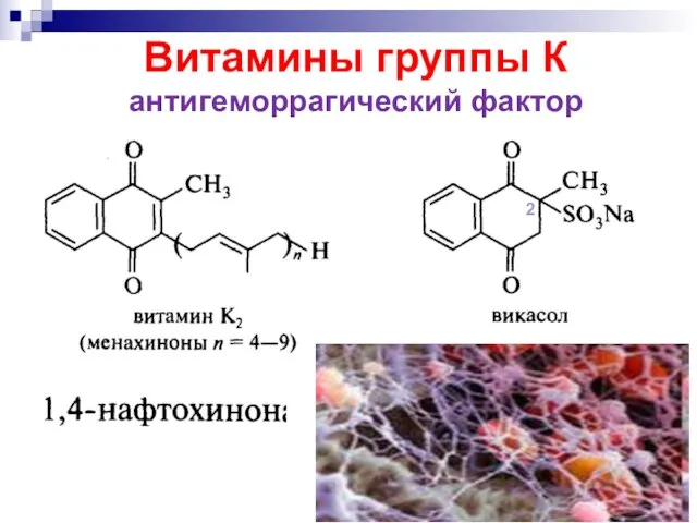 Витамины группы К антигеморрагический фактор 2