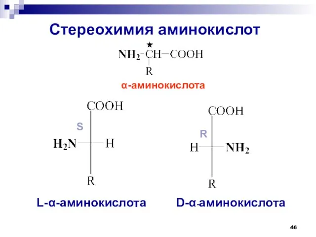 Стереохимия аминокислот -аминокислота L--аминокислота D--аминокислота S R