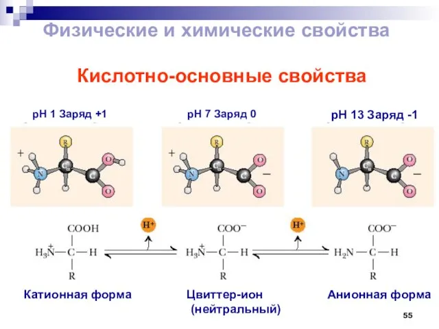 Кислотно-основные свойства pH 1 Заряд +1 pH 7 Заряд 0 pH 13
