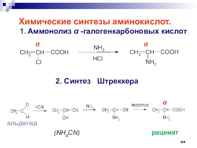 Химические синтезы аминокислот. 1. Аммонолиз  -галогенкарбоновых кислот 2. Синтез Штреккера (NH4CN)