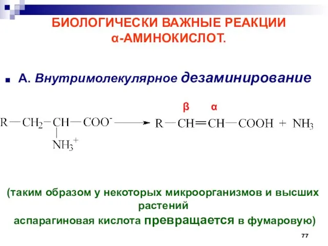 БИОЛОГИЧЕСКИ ВАЖНЫЕ РЕАКЦИИ -АМИНОКИСЛОТ. А. Внутримолекулярное дезаминирование (таким образом у некоторых микроорганизмов