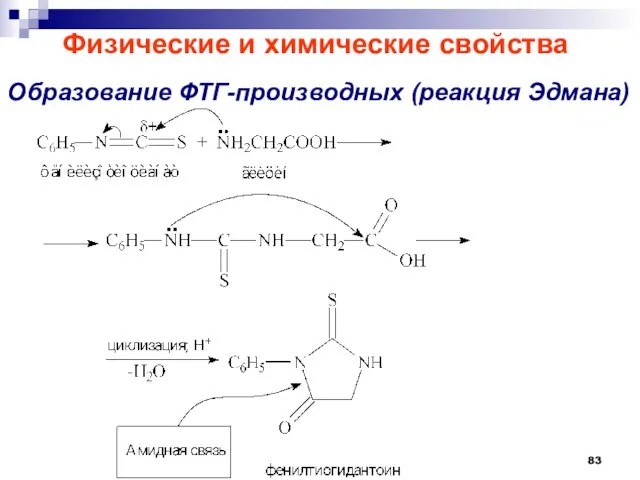 Образование ФТГ-производных (реакция Эдмана) Физические и химические свойства