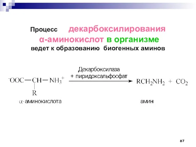 Процесс декарбоксилирования -аминокислот в организме ведет к образованию биогенных аминов