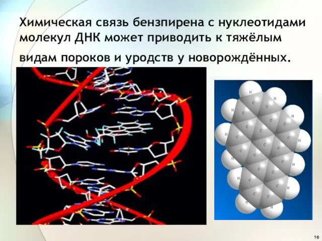 Химическая связь бензпирена с нуклеотидами молекул ДНК может приводить к тяжёлым видам