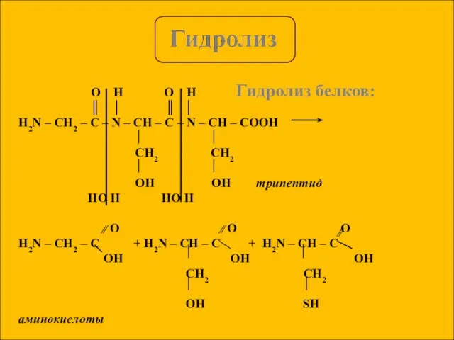 Гидролиз белков: O H O H ║ │ ║ │ H2N –