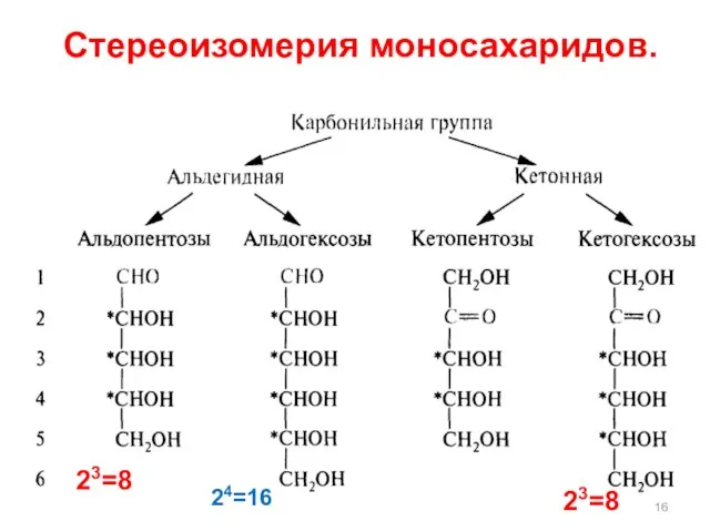 Стереоизомерия моносахаридов. 23=8 24=16 23=8