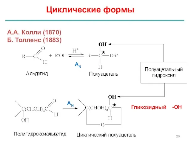 Циклические формы А.А. Колли (1870) Б. Толленс (1883) Гликозидный -ОН AN AN