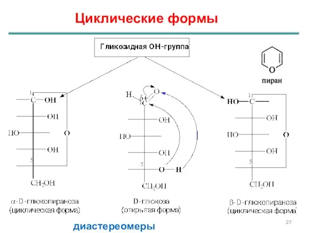 Циклические формы диастереомеры