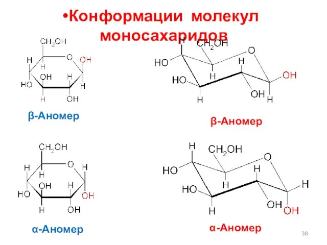 Конформации молекул моносахаридов -Аномер -Аномер -Аномер -Аномер