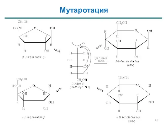 Мутаротация