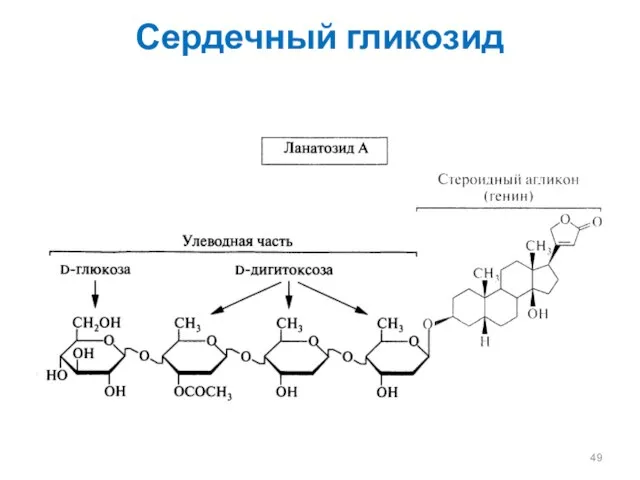 Сердечный гликозид