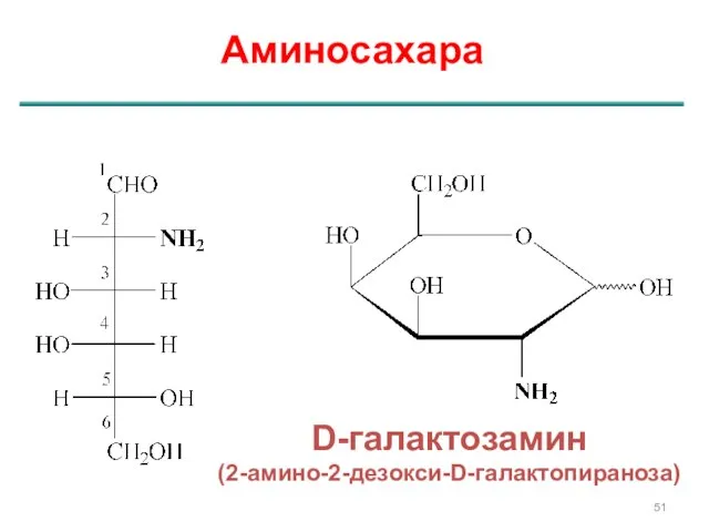 Аминосахара D-галактозамин (2-амино-2-дезокси-D-галактопираноза)