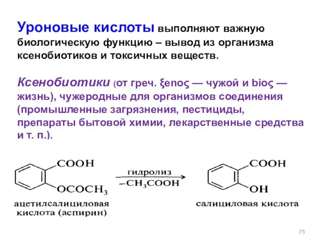 Уроновые кислоты выполняют важную биологическую функцию – вывод из организма ксенобиотиков и