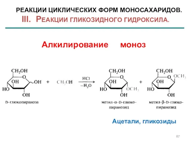 РЕАКЦИИ ЦИКЛИЧЕСКИХ ФОРМ МОНОСАХАРИДОВ. III. РЕАКЦИИ ГЛИКОЗИДНОГО ГИДРОКСИЛА. Алкилирование моноз Ацетали, гликозиды