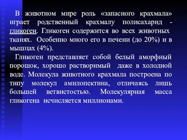 В животном мире роль «запасного крахмала» играет родственный крахмалу полисахарид - гликоген.