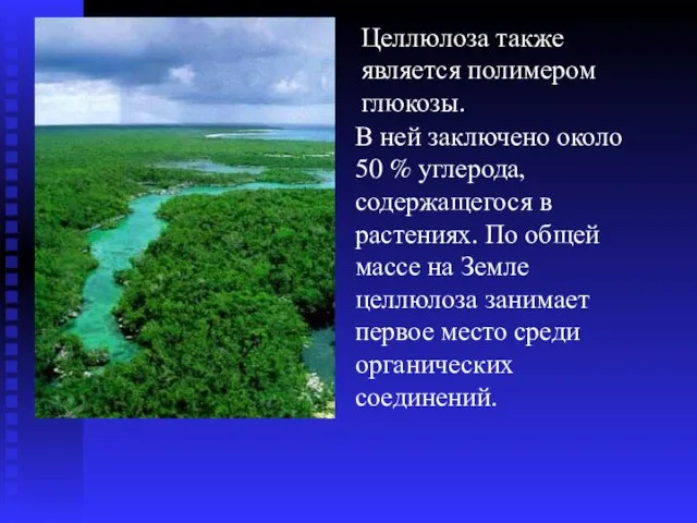 Целлюлоза также является полимером глюкозы. В ней заключено около 50 % углерода,