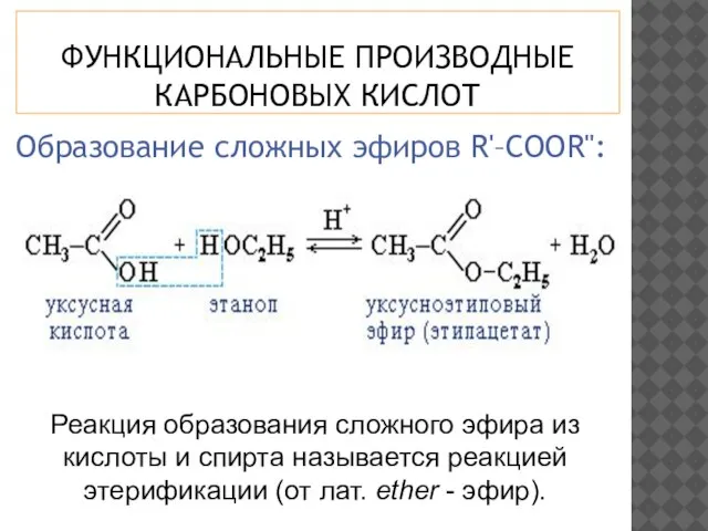 ФУНКЦИОНАЛЬНЫЕ ПРОИЗВОДНЫЕ КАРБОНОВЫХ КИСЛОТ Образование сложных эфиров R'–COOR": Реакция образования сложного эфира