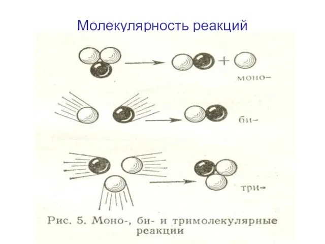 Молекулярность реакций