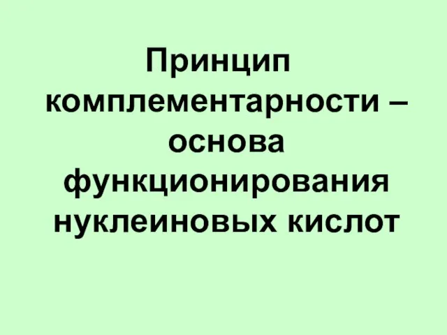 Принцип комплементарности – основа функционирования нуклеиновых кислот