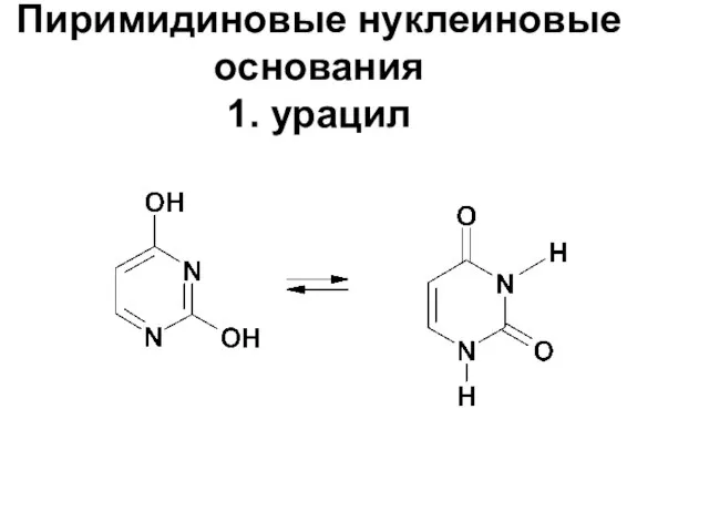 Пиримидиновые нуклеиновые основания 1. урацил