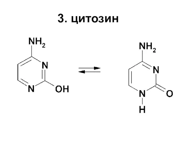 3. цитозин