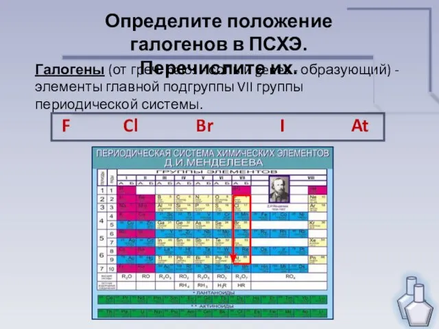 Определите положение галогенов в ПСХЭ. Перечислите их. Галогены (от греч. halos -