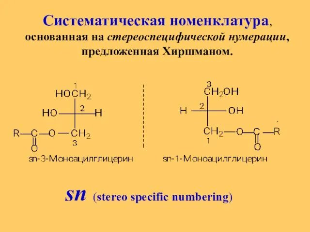 Систематическая номенклатура, основанная на стереоспецифической нумерации, предложенная Хиршманом. sn (stereo specific numbering)