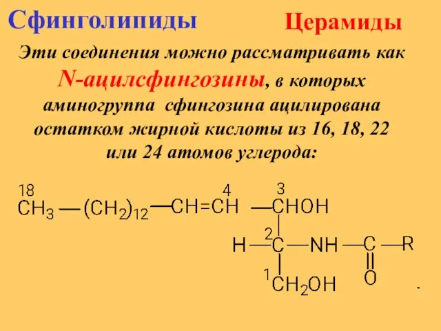 Церамиды Эти соединения можно рассматривать как N-ацилсфингозины, в которых аминогруппа сфингозина ацилирована