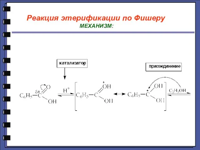 Реакция этерификации по Фишеру МЕХАНИЗМ: