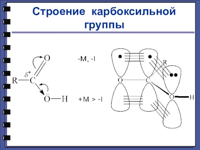 Строение карбоксильной группы