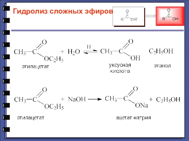 Гидролиз сложных эфиров