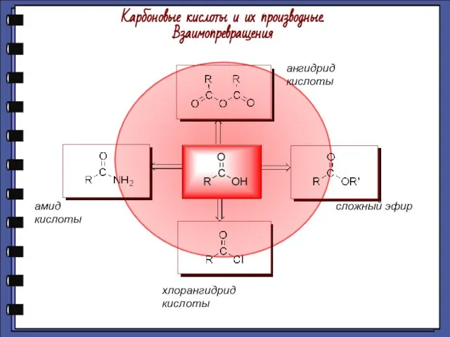 Карбоновые кислоты и их производные. Взаимопревращения ангидрид кислоты сложный эфир хлорангидрид кислоты амид кислоты