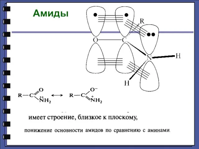 Амиды