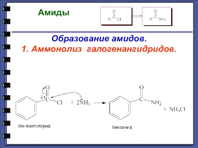 Амиды Образование амидов. 1. Аммонолиз галогенангидридов.