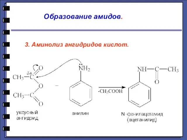 Образование амидов. 3. Аминолиз ангидридов кислот.